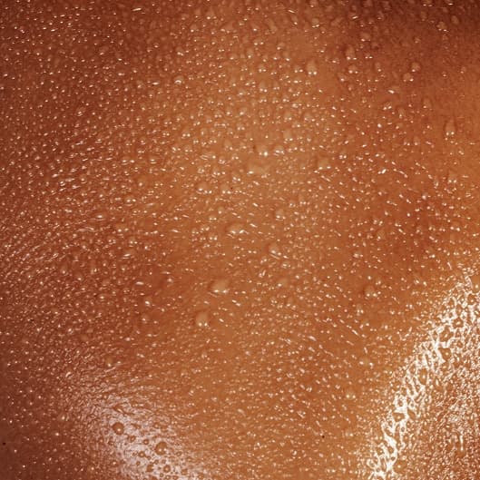 Gold Friday Deal at Honey Cove in Allen Park, MI